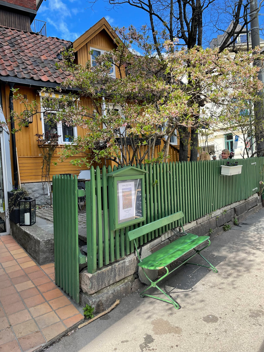 Det gule huset til Kafé Albin med grønt stakittgjerde og blomstrende tre