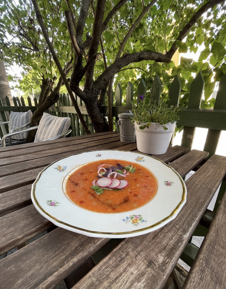 Dagens suppe